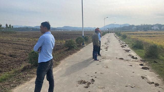 力推动秋种季紧抓落实促丰收米乐m6舒城县干汊河镇：全
